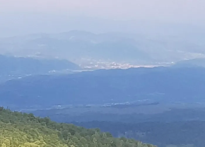 La Mona
